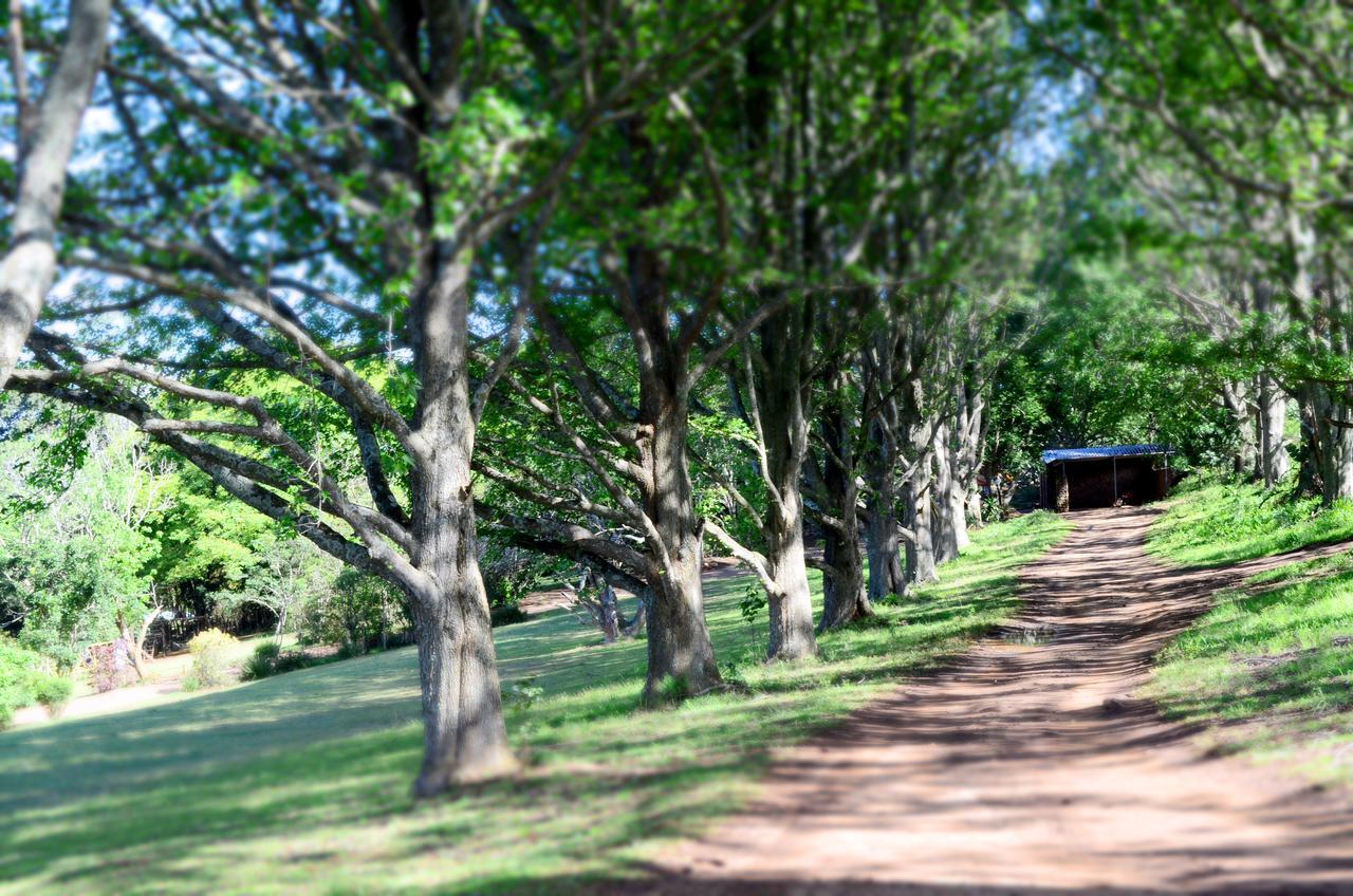 Phezulu Safari Park Villa Botha's Hill Dış mekan fotoğraf